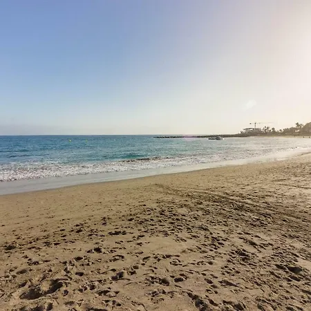 El Cardon 1a003 Playa de las Americas (Tenerife)