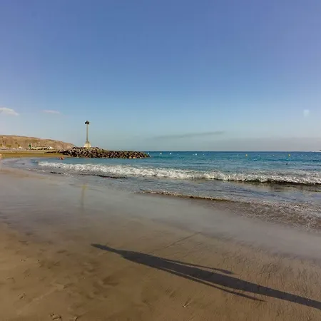 El Cardon 1a003 Playa de las Americas (Tenerife)